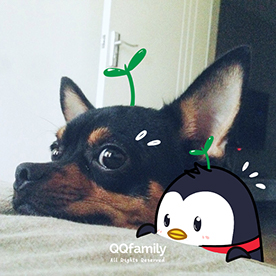 Behance profile picture for @nearly