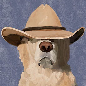 EVO DESIGN - Diseñador Gráfico / Ilustrador in Peru :: Behance