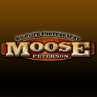 MoosePeterson