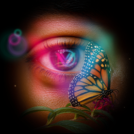 Devon Tingle - Graphic Designer. in Ocean City, MD, USA :: Behance
