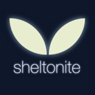 Behance profile picture for @shelton