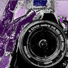 Behance profile picture for @kaufman