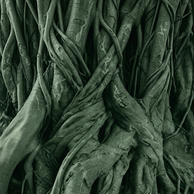 El Brote Film Score's profile