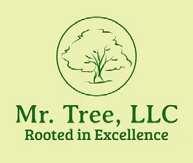 mrtreemd
