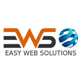 Easy Web Solution - Professional Training Institution In Panchkula in ...