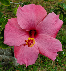 Barbara_Difranza0623