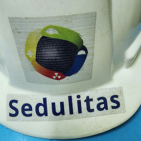Sedulitas