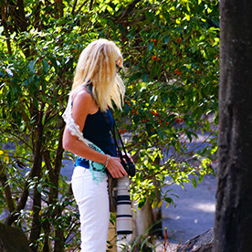 wildphotos4u