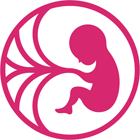 Placenta27005182mmd6