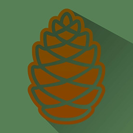 Behance profile picture for @pine