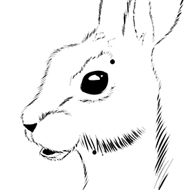 commonhare