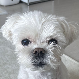 Seongmo Koo's profile