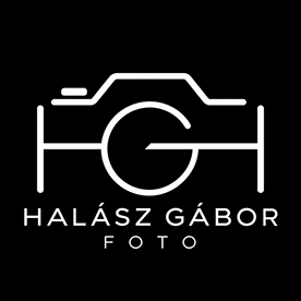 HalGa1963