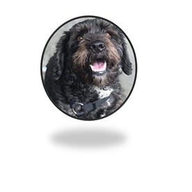 clara luz304090375y7w