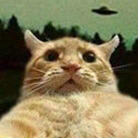 juan pablo sciaccaluga's profile