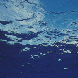 Behance profile picture for @argument