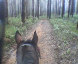 horseoz