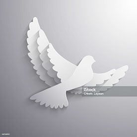 Mehar Adeel in Lahore, Pakistan :: Behance