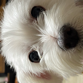 HYUNGLOK28110151c543