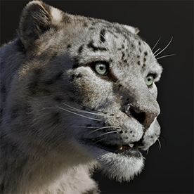 Behance profile picture for @terry
