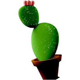 ShiveringCactus