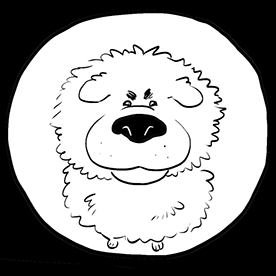 Optimistic_Everglow5CD9