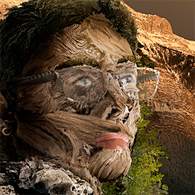 Vanessa Sickles's profile