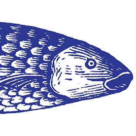 Exciting_Dewdrop16B8