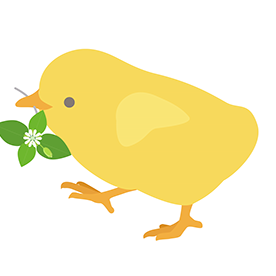 piyo piyo
