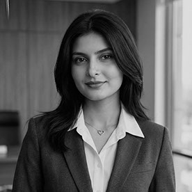 Syeda Aliza - Exploring new horizons—ready to bring your vision to life ...