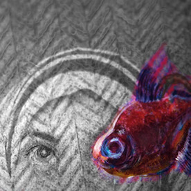 Masooma Raza - Visual Designer in Waterloo, Ontario, Canada :: Behance