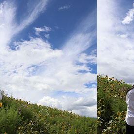 Dan Li in Rancho Cucamonga, CA, USA :: Behance