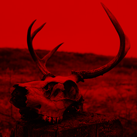 Behance profile picture for @prevented