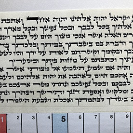 zishe