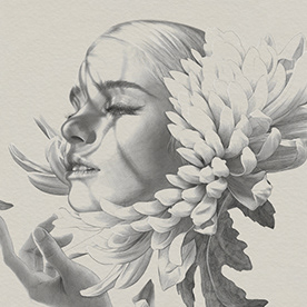 Illustrator 30_30 vol. 29 Kei Meguro :: Behance
