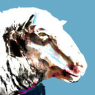 Behance profile picture for @gib