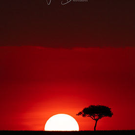 FbernierPhoto
