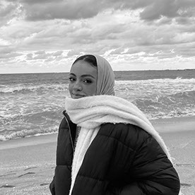 areej elnabgha - interior designer in Cairo, Egypt :: Behance