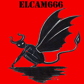 Elcam666