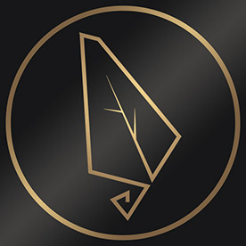 Behance profile picture for @nuevo