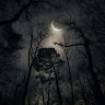 mohammad_4117