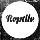 Behance profile picture for @reptile