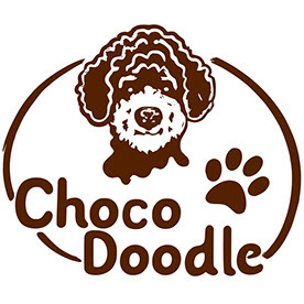ChocoDoodle