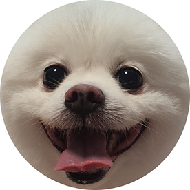 Behance profile picture for @dongs