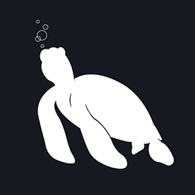 Turtle Studio - Design Graphic | Social Media in Viçosa, Brazil :: Behance