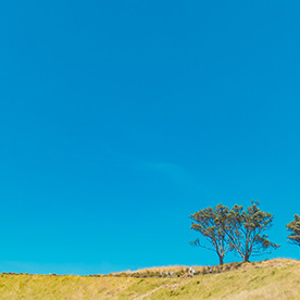 John at Monash