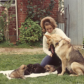 multitalented_mentor7536