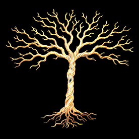 Design by Robert