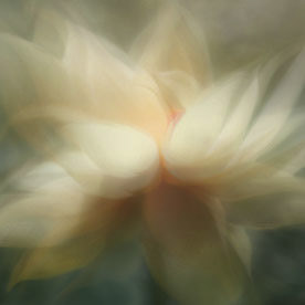 Optimistic_magic98BC