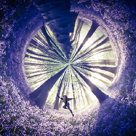 Tôn Ngọc Minh Quân's profile